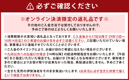 【指定日必須】 長崎の海で獲れた『天然伊勢海老』 約500g ／ 魚 魚介類 天然 伊勢海老 伊勢エビ イセエビ 海老 お刺身 湯引き 冷蔵  【2025年9月13日～10月14日迄発送予定】 