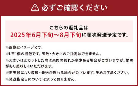 長浦すいか「まつりばやし」計1玉 Lサイズ 6kg台【2025年6月下旬～8月下旬迄発送予定】 すいか スイカ 西瓜 長浦すいか まつりばやし 果物 フルーツ くだもの 長崎市