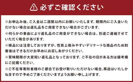 長浦すいか「まつりばやし」計1玉 Lサイズ 6kg台【2025年6月下旬～8月下旬迄発送予定】 すいか スイカ 西瓜 長浦すいか まつりばやし 果物 フルーツ くだもの 長崎市