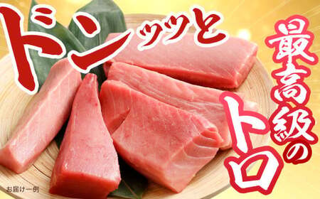 【訳あり】みやび鮪 規格外切り落とし (大トロ・中トロ・赤身)  部位おまかせ 計600g ／ マグロ 鮪 まぐろ 刺し身 刺身 国産 本まぐろ 本鮪 冷凍 魚 魚介 まぐろ丼 まぐろ漬け丼 海鮮丼 おすすめ 長崎