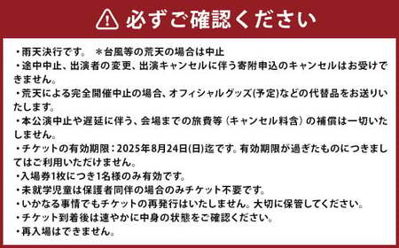 【2025年8月24日（日）開催】Sky Jamboree 2025 入場チケット（一般）×1枚 ／ 入場券 券 フェス 野外フェス ロックフェス ロックフェスティバル 夏フェス スカイジャンボリー ( 出演 10-FEET・ストレイテナー・POTSHOT・BRAHMAN・ASIAN KUNG-FU GENERATION・coldrain・マカロニえんぴつ・Kroi・ねぐせ。・KOTORI  ）