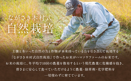 ながさき木村式自然栽培 令和7年産 ひのひかり 玄米 5kg 【2025