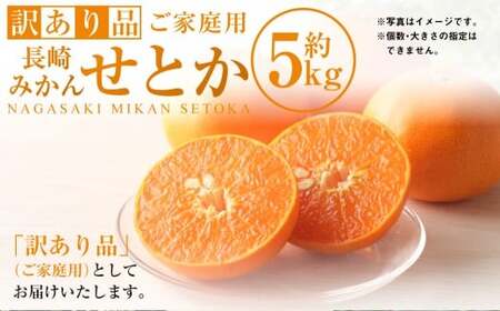 【訳あり品】長崎みかん（せとか）約5kg みかん フルーツ 果物 くだもの ミカン 蜜柑 長崎  訳あり ワケアリ 【2026年2月上旬-4月下旬発送予定】