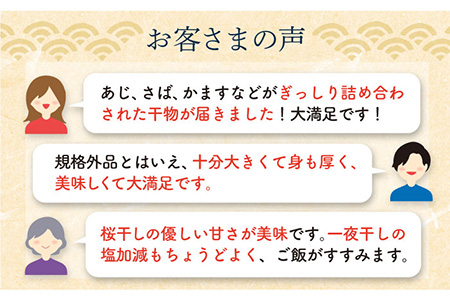 訳あり】たっぷり26枚入り「長崎蚊焼干し」規格外干物セット+マトウ鯛