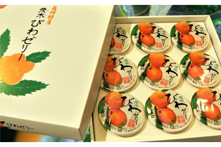 長崎特産 茂木びわゼリー9個入 全国菓子大博覧会 名誉総裁賞受賞 うらかわ酒店 Lar056 長崎県長崎市 ふるさと納税サイト ふるなび