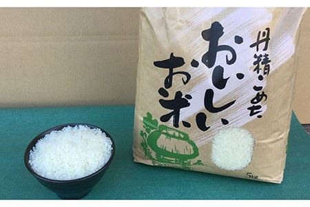 長崎県産 棚田もち米天日掛け干し サイワイモチ 5Kg （令和5年産）長崎市/大将農園 [LCS004] 餅 もち 米 コメ 餅米 もち米 穀物 餅 もち 米 コメ 餅米 もち米 穀物 餅 もち 米 コメ 餅米 もち米 穀物 餅 もち 米 コメ 餅米 もち米 穀物 餅 もち 米 コメ 餅米 もち米 穀物 餅 もち 米 コメ 餅米 もち米 穀物 餅 もち 米 コメ 餅米 もち米 穀物 餅 もち 米 コメ 餅米 もち米 穀物 餅 もち 米 コメ 餅米 もち米 穀物 餅 もち 米 コメ 餅米 もち米 穀物