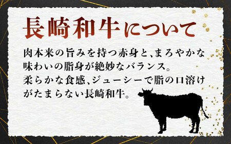 【高級部位の詰め合せ】長崎和牛ヒレ・サーロインセット＜meat shop FUKU＞ [LGZ019]