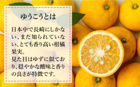 香り高い柑橘 ゆうこう天然果汁のお酒 1800ml 長崎市/うらかわ酒店[LAR090]