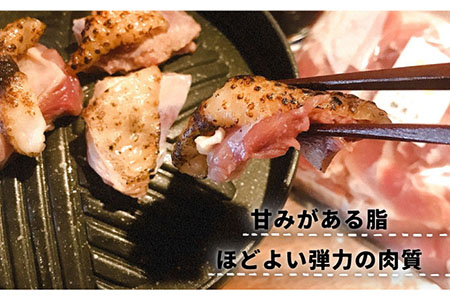 長崎県産 対馬地鶏 焼肉セット 約500g（自家製タレ付）カット済み 味付き 肉 長崎市/TEAM KAETSU[LIC003]
