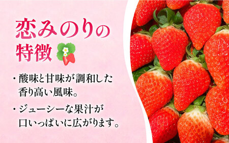 年内発送可】恋みのり 長崎県産いちご 2kg（250g×8パック）フルーツ