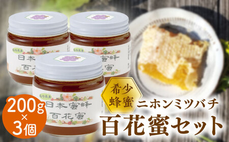 数量限定！希少！日本ミツバチの蜂蜜