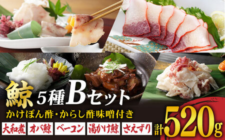 美味しい鯨5種詰め合わせBセット（大和煮缶詰170g、オバ鯨100g