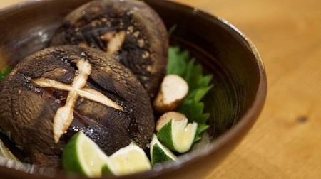 Y-1302 カルシの森の特選 原木椎茸(生・乾)詰め合わせセット