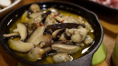 Y-1501 原木しいたけ栽培 ほだ木(2本)