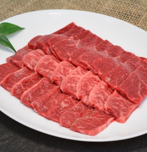 J-2502 ジャージー牛 焼肉＆加工品セット