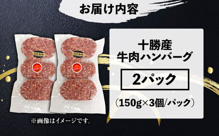 十勝産牛肉ハンバーグ 900g ハンバーグ [BNAM031]