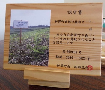 AB-1001 新得町有林の植林オーナー　苗木100本分