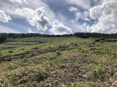 AB-1001 新得町有林の植林オーナー　苗木100本分