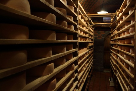 F-1406 共働学舎新得農場チーズ たっぷりラクレット500g