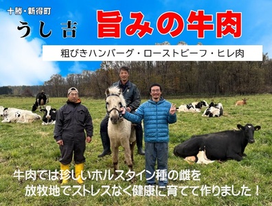 AN-0901 粗びきハンバーグ10個セット