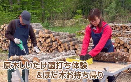 AL-3401 原木シイタケの菌打ち体験＆自分で菌打ちしたホダ木お持ち帰り