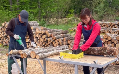 AL-3401 原木シイタケの菌打ち体験＆自分で菌打ちしたホダ木お持ち帰り