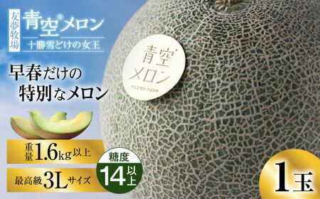【5月以降順次発送】青空メロン 十勝雪どけの女王 1玉（3L 糖度14以上） | 友夢牧場[BNBM001]