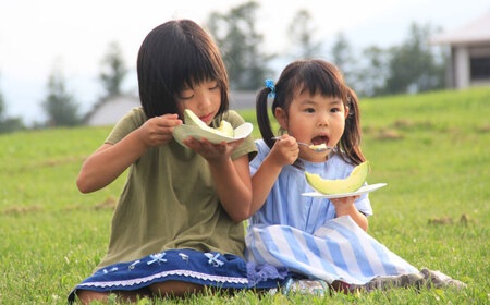 【5月以降順次発送】青空メロン 十勝雪どけの女王 1玉（3L 糖度14以上） | 友夢牧場[BNBM001]