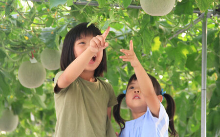 【5月以降順次発送】青空メロン 十勝雪どけの女王 1玉（3L 糖度14以上） | 友夢牧場[BNBM001]