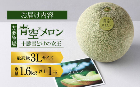 【5月以降順次発送】青空メロン 十勝雪どけの女王 1玉（3L 糖度14以上） | 友夢牧場[BNBM001]