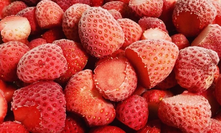 有機ＪＡＳ認証　有機露地栽培冷凍いちご