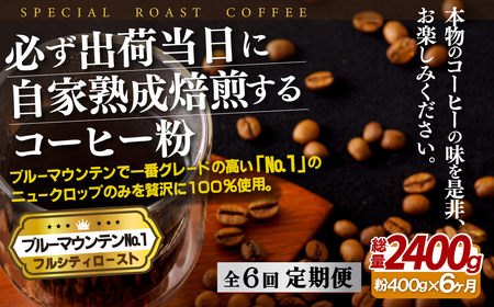 必ず出荷日に自家熟成焙煎ブルーマウンテン粉No.1(400g)【6回定期便】