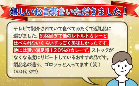 【カレー】牛テールカレー ゴロット 20袋セット 【テレビ紹介多数! 豊味館】