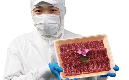 長崎和牛ランプ赤身焼肉(A3等級以上)(700g)