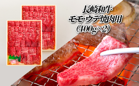  【全12回定期便】 長崎和牛 赤身定期便 希少部位ヒレ含む！総計8.8kg 赤身ゴールドコース【田中精肉店】赤身 定期便 モモ ヒレ フィレ すき焼き 焼肉 ステーキ しゃぶしゃぶ