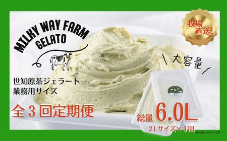《定期便》山中牧場「MILKY WAY FARM」ジェラート 業務用(２L)サイズ〈世知原茶〉【３回お届け】  ｜アイスジェラート 
