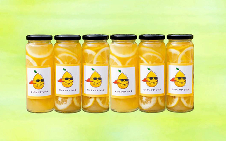 佐世保オーガニックレモネードの素(6本セット)