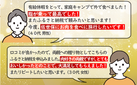《定期便》長崎和牛サーロインステーキ300g(150gを2枚)【6回お届け】