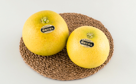 長崎ざぼん(特大3Lサイズ)2玉