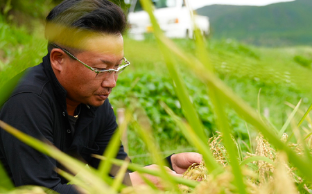 佐世保の棚田米（なつほのか）5kg