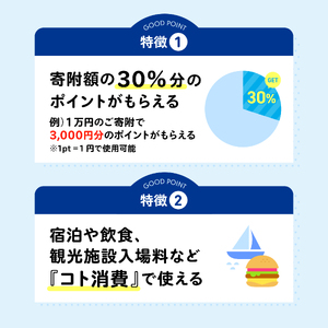 佐世保観光で使えるポイント】させぼe旅ポイント30,000円分 観光 地域通貨 電子決済 飲食 宿泊 体験 電子通貨 ハウステンボス 佐世保宿泊券 |  長崎県佐世保市 | ふるさと納税サイト「ふるなび」