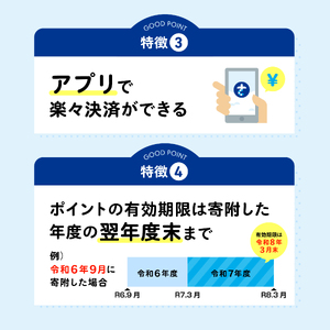 【佐世保観光で使えるポイント】させぼe旅ポイント30,000円分 観光 地域通貨 電子決済 飲食 宿泊 体験 電子通貨 ハウステンボス 佐世保宿泊券 旅行
