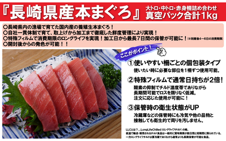 刺身用 国産ほんまぐろ詰め合わせ【養殖】本まぐろ 人気 国産 長崎 佐世保 