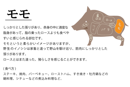 【ジビエ】平戸いのしし モモブロック肉(1kg)  / 猪肉 イノシシ 人気　