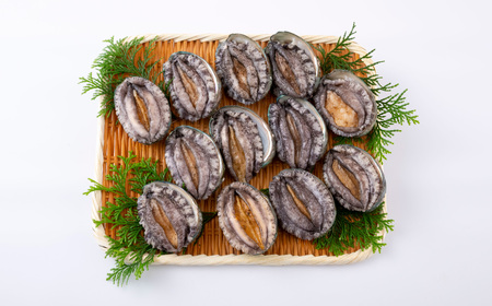 九十九島活あわび(900g)養殖