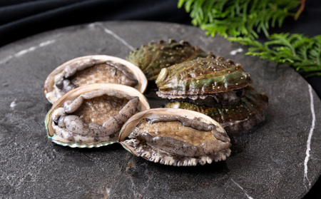 翠巡(すいじゅん)完全養殖佐世保産あわび10個