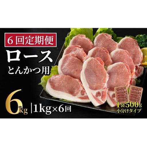 《定期便》長崎県産豚 ロースとんかつ用計1kg(100g×5枚×2) 【6回お届け】