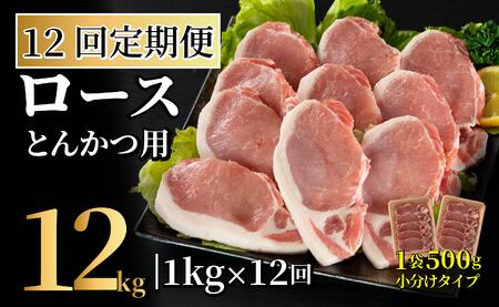 《定期便》長崎県産豚 ロースとんかつ用計1kg(100g×5枚×2) 【12回お届け】