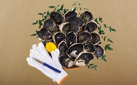 九十九島かき本舗岩がきA 夏牡蠣 生牡蠣 殻付き牡蠣 ブランド牡蠣 牡蠣