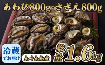 九十九島あわび(800g)・さざえ(800g) | 長崎県佐世保市 | ふるさと納税